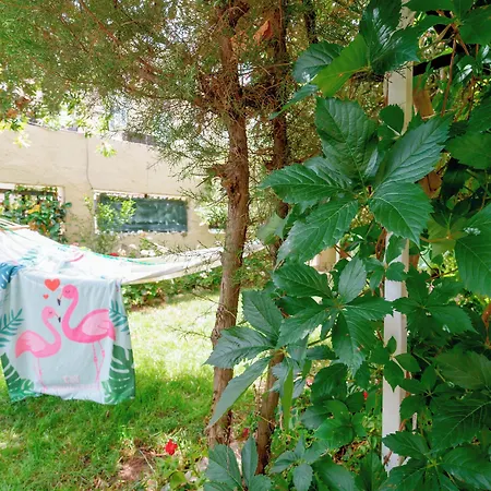 Konukevi Villabeachcity 4*